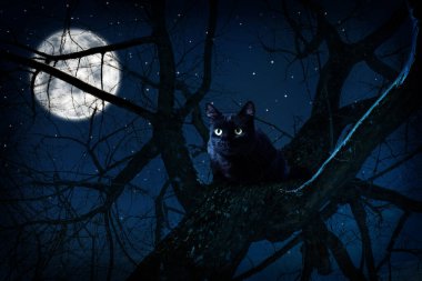 Creepy black cat sitting on tree under full moon at night clipart