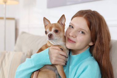 Evdeki kanepede sevimli Chihuahua köpeğiyle genç bir kız.