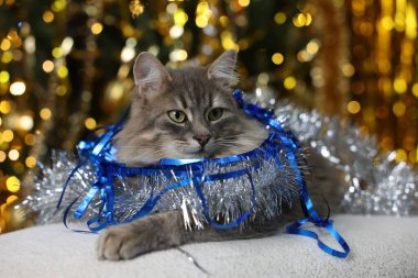 Pouf 'un üzerinde parlak parıltıları olan sevimli kedi bulanık ışıklara karşı. Noel atmosferi