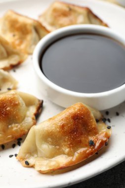 Susamlı ve soya soslu kızarmış gyoza köftesi, yakın plan.