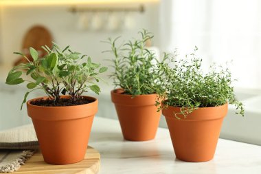 Kapalı alandaki beyaz mermer masada farklı aromatik otlar.