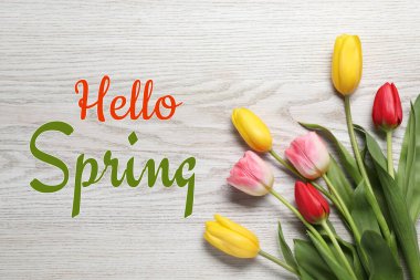 Merhaba Spring. Beyaz ahşap arka planda güzel laleler, üst manzara.