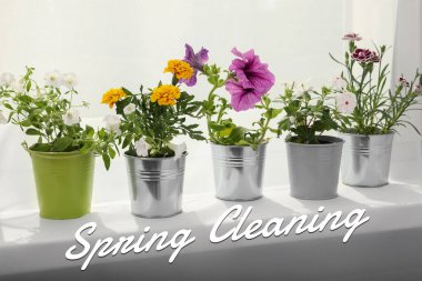 Bahar temizliği. Güneşli bir günde pencere kenarındaki güzel saksı çiçekleri