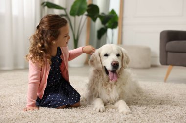 Evdeki halıda sevimli köpeği olan küçük kız.