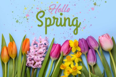 Merhaba Spring. Pastel mavi arka planda güzel çiçekler, üst manzara.