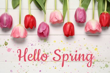Merhaba Spring. Beyaz ahşap zemin üzerinde güzel laleler, üst manzara