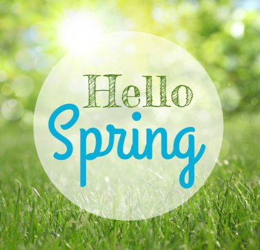 Merhaba Spring. Parlak yemyeşil çimenler güneşli bir günde, bokeh etkisi