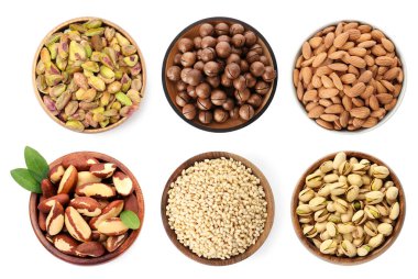 Brezilya ve diğer fındıklar beyaz kaselerde izole edilmiş, set. Üst görünüm