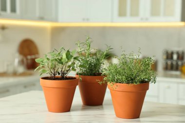 Mutfaktaki beyaz mermer masada farklı aromatik otlar var.