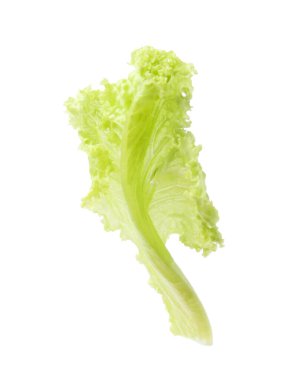 Beyaz üzerine izole edilmiş taze marul yaprağı.