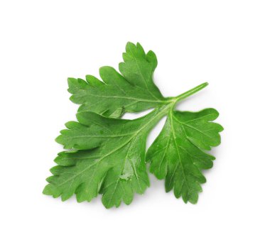 Beyaz maydanozlu taze maydanoz.