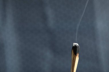 Yanan Palo Santo gri arka plana yapışmış, yakın plan. Metin için boşluk