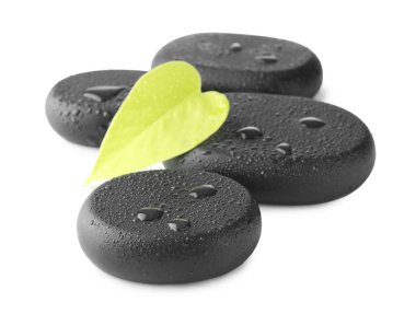 Islak spa taşları ve yeşil yaprak beyaza izole edilmiş.