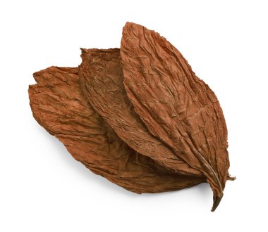 Kurumuş tütün yaprakları beyaz, üst manzara