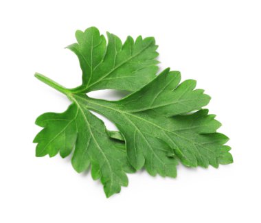 Beyaz maydanozlu taze maydanoz.