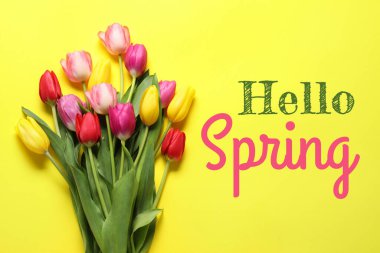 Merhaba Spring. Sarı arka planda güzel laleler, üst manzara.