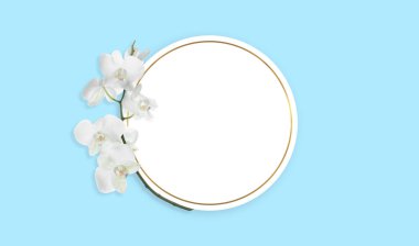Açık mavi arka planda boş kart ve orkide çiçekleri, üst manzara. Pankart tasarımı
