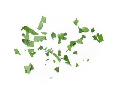 Beyaz arka planda taze maydanoz yaprakları