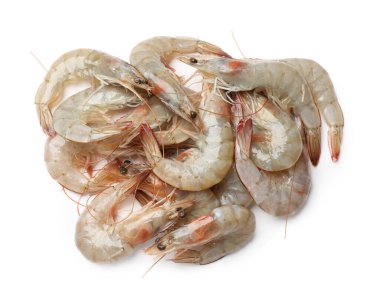 Taze çiğ karidesler beyaz, üst manzara