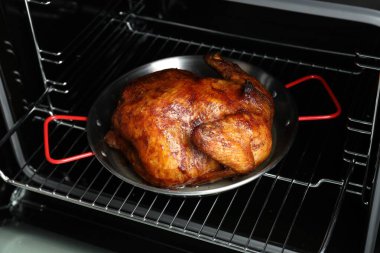 Fırında fırında pişmiş hindi.