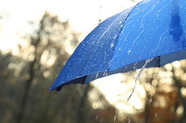 Bardaktan boşanırcasına yağmur altında açık mavi şemsiye.