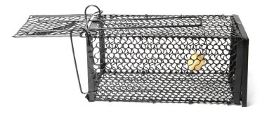 Bir metal fare tuzağı ve beyaz bir yem.