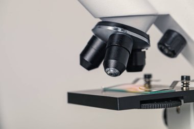 - Bilim. Açık gri arka planda cam kaydıraklı mikroskop, yakın plan. Metin için boşluk