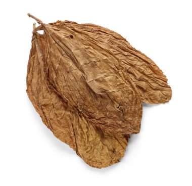 Kurumuş tütün yaprakları beyaz, üst manzara