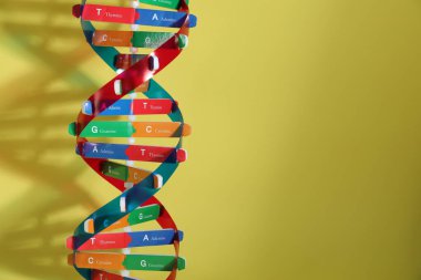 Sarı arkaplanda DNA yapısı modeli, metin için boşluk