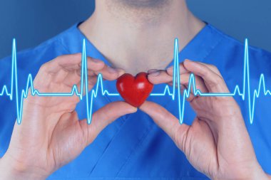Kardiyoloji. Doktor kırmızı dekoratif kalbi arka planda tutuyor, yakın plan. Mavi kalp atışı çizgisi