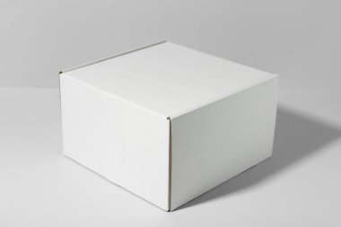 Beyaz arka planda boş bir karton kutu. Tasarım için model