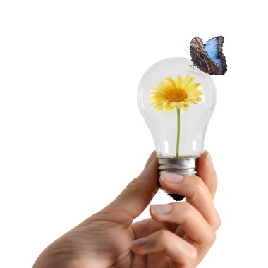 İçinde çiçek olan ampulü tutan kadın ve beyaz arka planda kelebek, yakın plan. Yeşil enerji kavramı