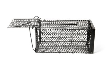 Bir metal fare tuzağı beyaza izole edilmiş.