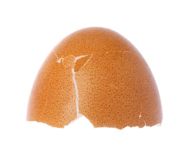 Kırık yumurta kabuğunun bir parçası beyaza izole edilmiş.