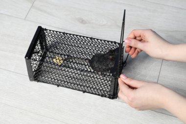 Metal fare kapanı ve yerde fare olan bir kadın.