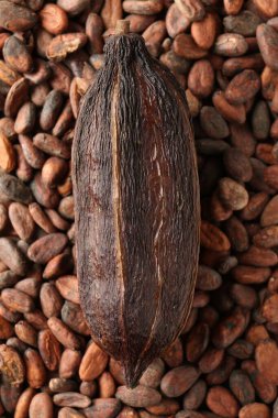 Fasulye üzerine doğal kakao kabuğu, üst manzara.