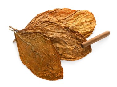 Kurumuş tütün yaprakları ve puro beyaz, üst görünümde izole