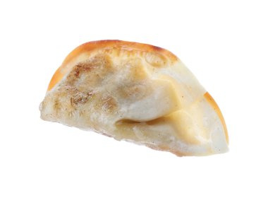 Bir kızarmış gyoza hamur tatlısı, beyaz üzerine izole edilmiş.