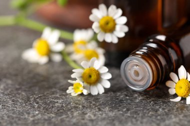 Gri masada gerekli yağ ve papatya çiçekleri, yakın plan.