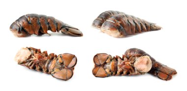 Taze ıstakoz kuyrukları beyaz sette izole edilmiş.