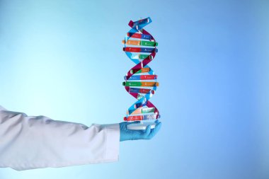 Renk arkaplanı üzerinde DNA yapı modeline sahip bilim adamı, yakın plan