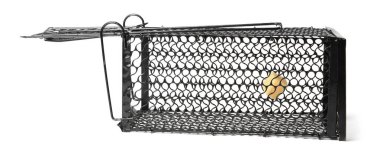 Bir metal fare tuzağı ve beyaz bir yem.