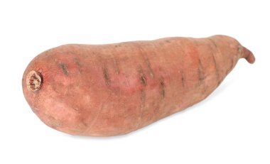 Beyaza izole edilmiş taze bir patates. Sebze kökü