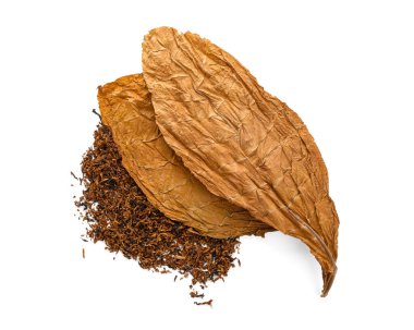 Kuru tütün ve yapraklar beyaz, üst görünümde izole