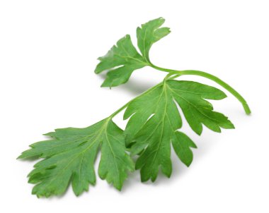 Beyaz maydanozlu taze maydanoz.