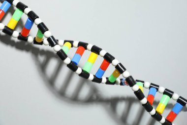 Açık gri arkaplanda DNA yapısı modeli, yukarıda görünüm