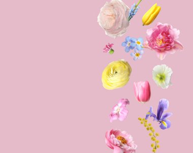 Pembe arka planda uçuşan güzel bahar çiçekleri. Metin için boşluk