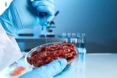 GDO konsepti. Bilim adamı laboratuvarda kıyma yapılmış ete bir şey enjekte ediyor. Yakın plan. Metin için boşluk