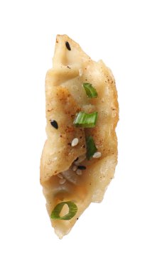 Bir kızarmış gyoza hamur köftesi ve yeşil soğanlı beyaz üzerine izole edilmiş.