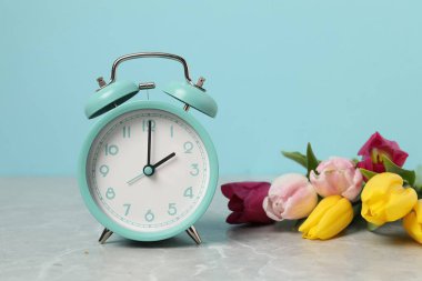 Bahar geldi. Çalar saat ve gri mermer masa üzerindeki güzel laleler açık mavi arkaplana karşı